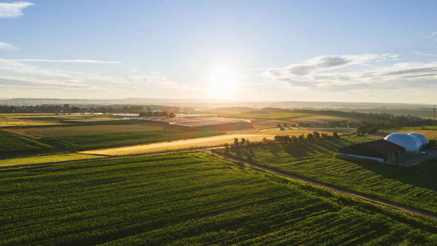 Felder im Morgenlicht, im Hintergrund ein Hof mit Biogasanlage